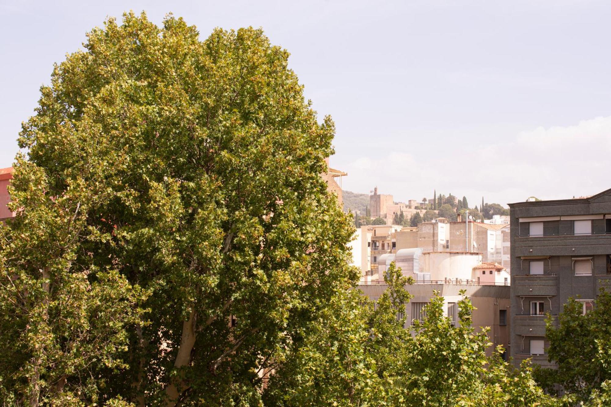 Apartamentos Centro グラナダ エクステリア 写真